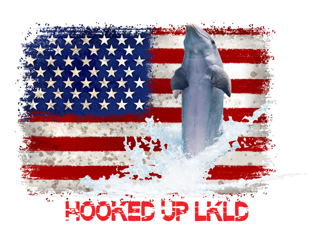 USA Flag Dolphin